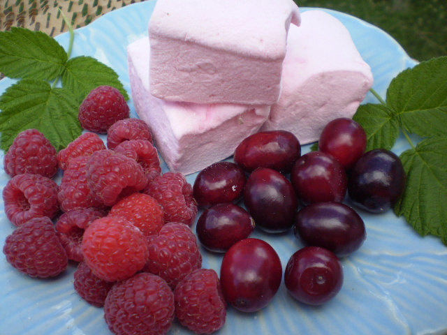 Cran Raspberry Marshmallows Handcrafted Gourmet Confections